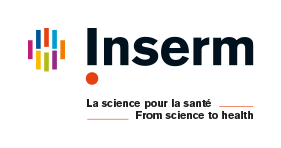 Inserm is co-leader of WP2: Dissemination